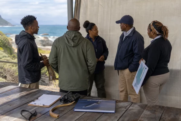 À Hermanus, les baleines franches australes attirent les visiteurs et posent un défi durable à la protection marine