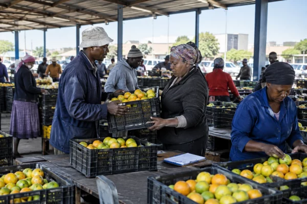 Au Botswana, l’ouverture du marché chinois met à l’épreuve la promesse de retombées économiques locales