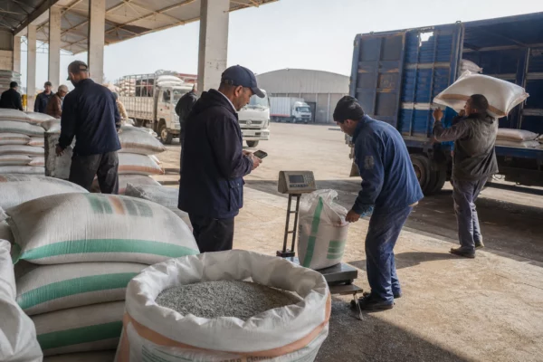 Le choc des matières premières révèle les fragilités contrastées des économies du Maghreb face à la hausse de l’énergie