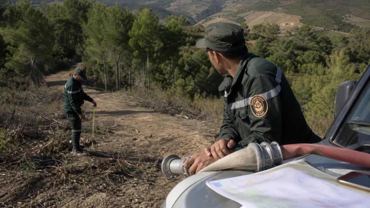 Peine de mort pour les incendies : en Algérie, le durcissement pénal relance le débat sur la prévention