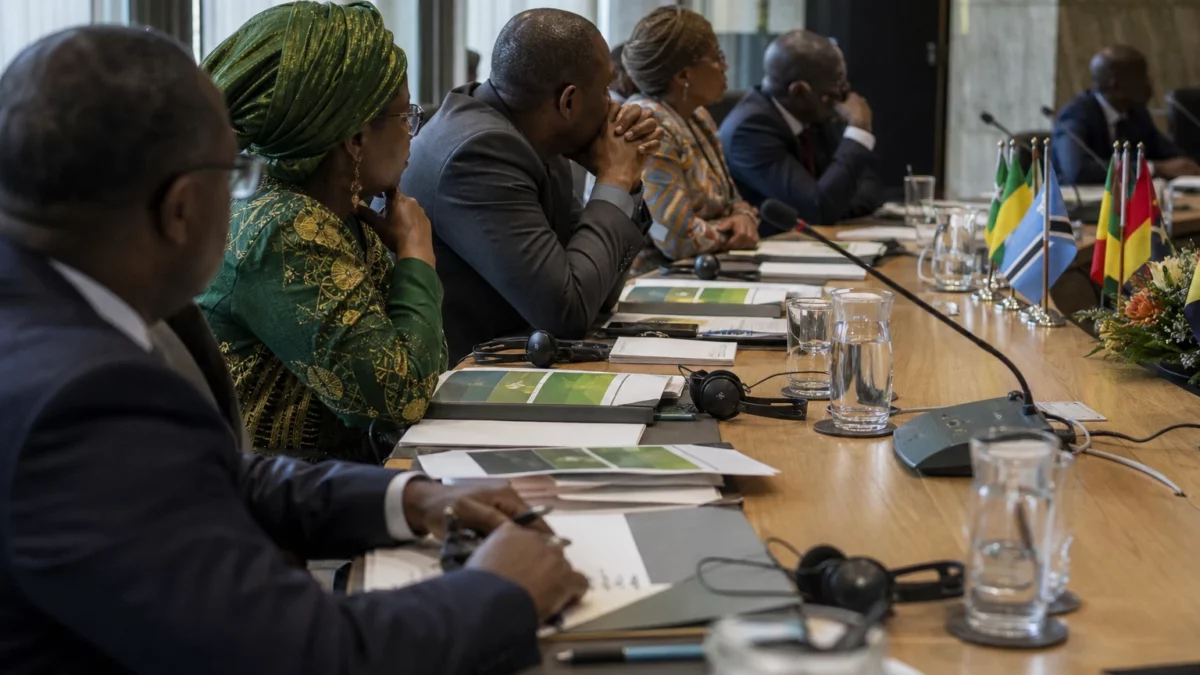 Restauration forestière en Afrique : les engagements progressent, mais le financement et le suivi restent à la traîne