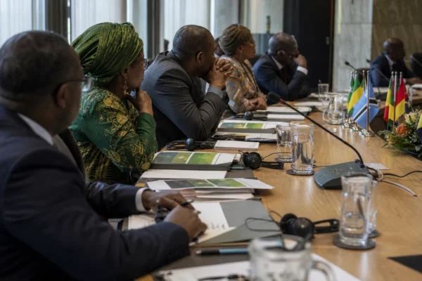 Restauration forestière en Afrique : les engagements progressent, mais le financement et le suivi restent à la traîne