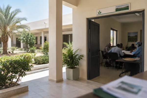 La Mauritanie mise sur ses filières locales pour réduire l’écart entre récoltes de riz et importations