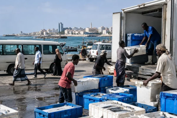 En Somalie, l’accès au marché chinois met à l’épreuve la protection des pêcheurs et des stocks marins
